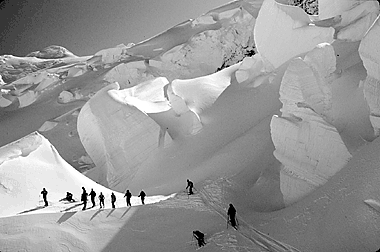 powder skier